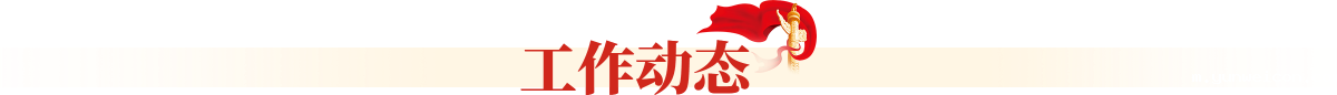工作动态